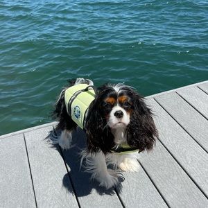 Édith Gigi, Remy’s baby sister. Pronounced E D